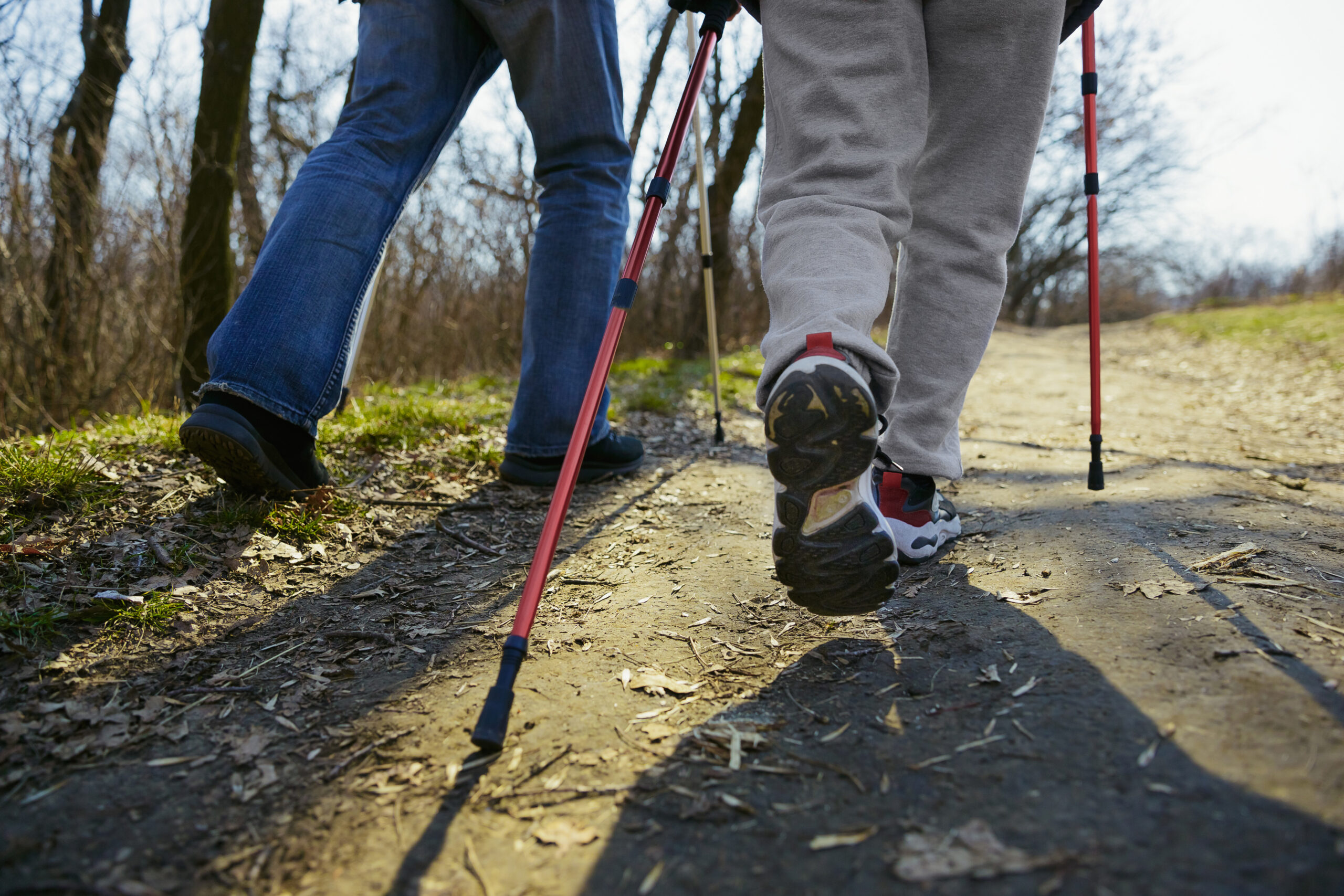 People walking with nordic walking sticks